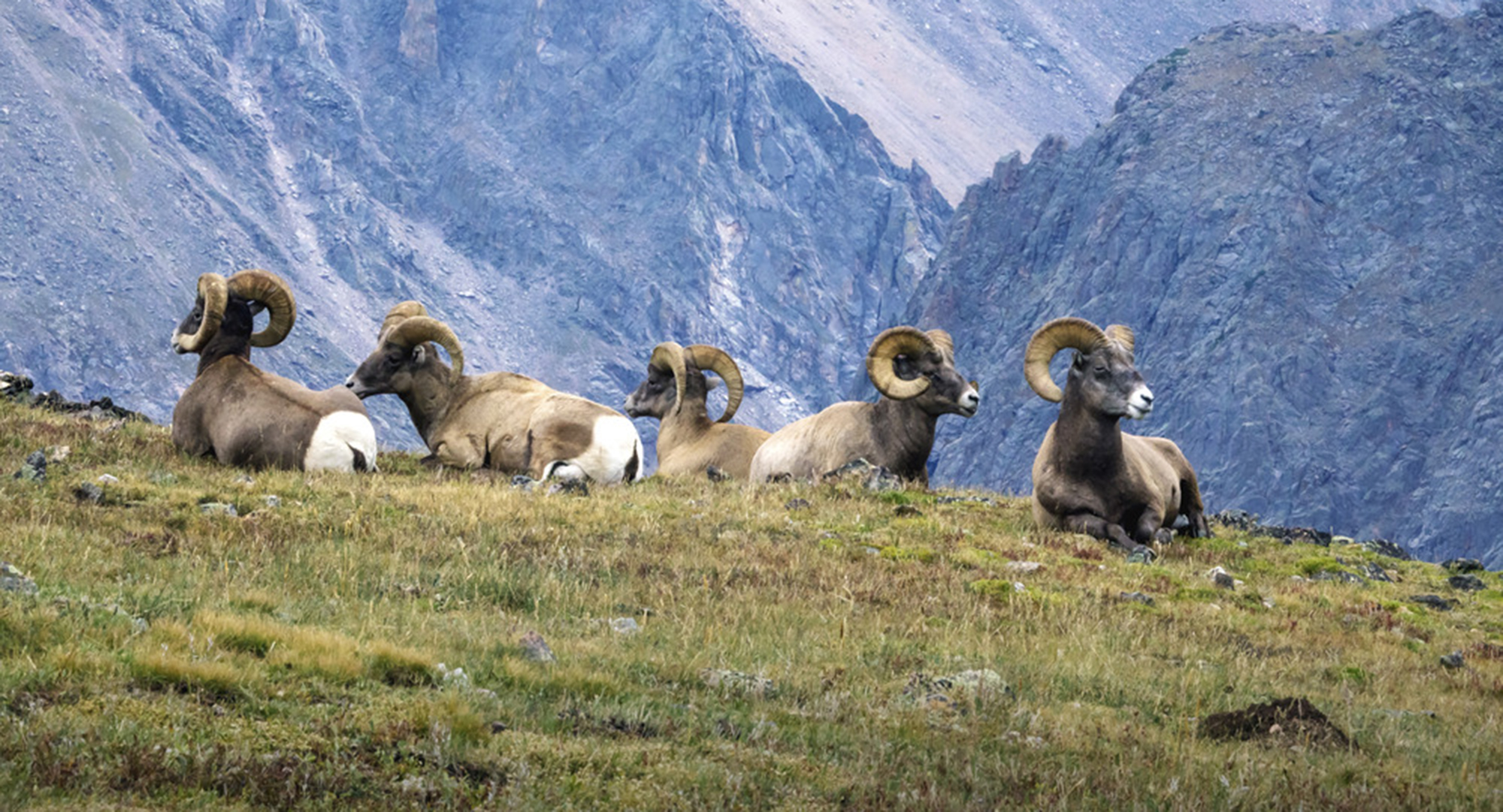 Sunset at Alpine Visitor Center, Rocky Mountain National Park North